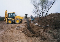 Image 01